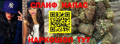 ПСИЛОЦИБИНОВЫЕ ГРИБЫ Тулун