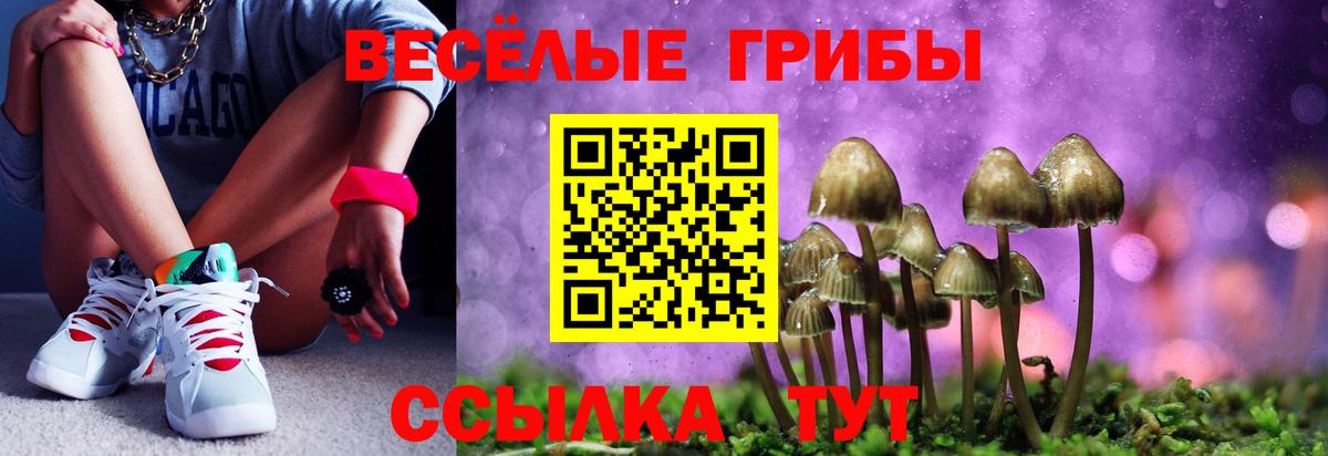 Галлюциногенные грибы Psilocybe  Вход с VPN  Боровичи 